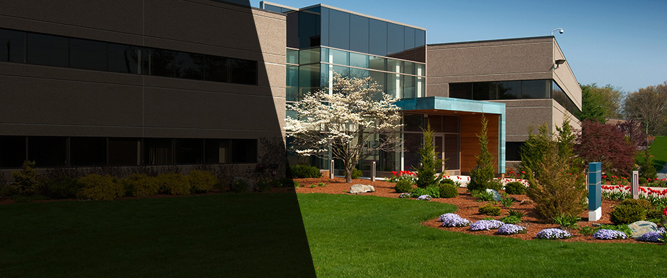 Plainsboro Landscapers