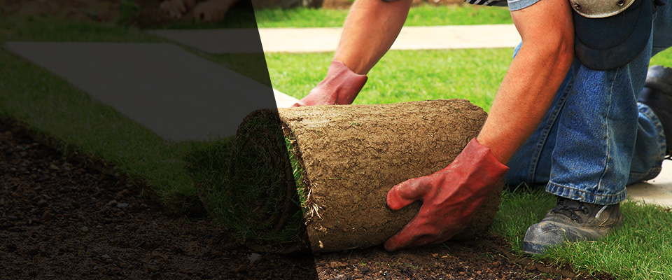 Plainsboro Landscapers